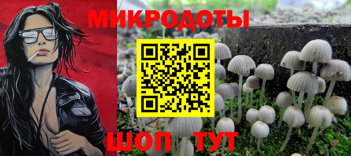 Псилоцибиновые грибы MAGIC MUSHROOMS  Вход с VPN  Галлюциногенные грибы Cubensis  Нерюнгри 