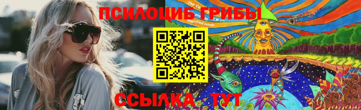 Галлюциногенные грибы Psilocybine cubensis Нерюнгри